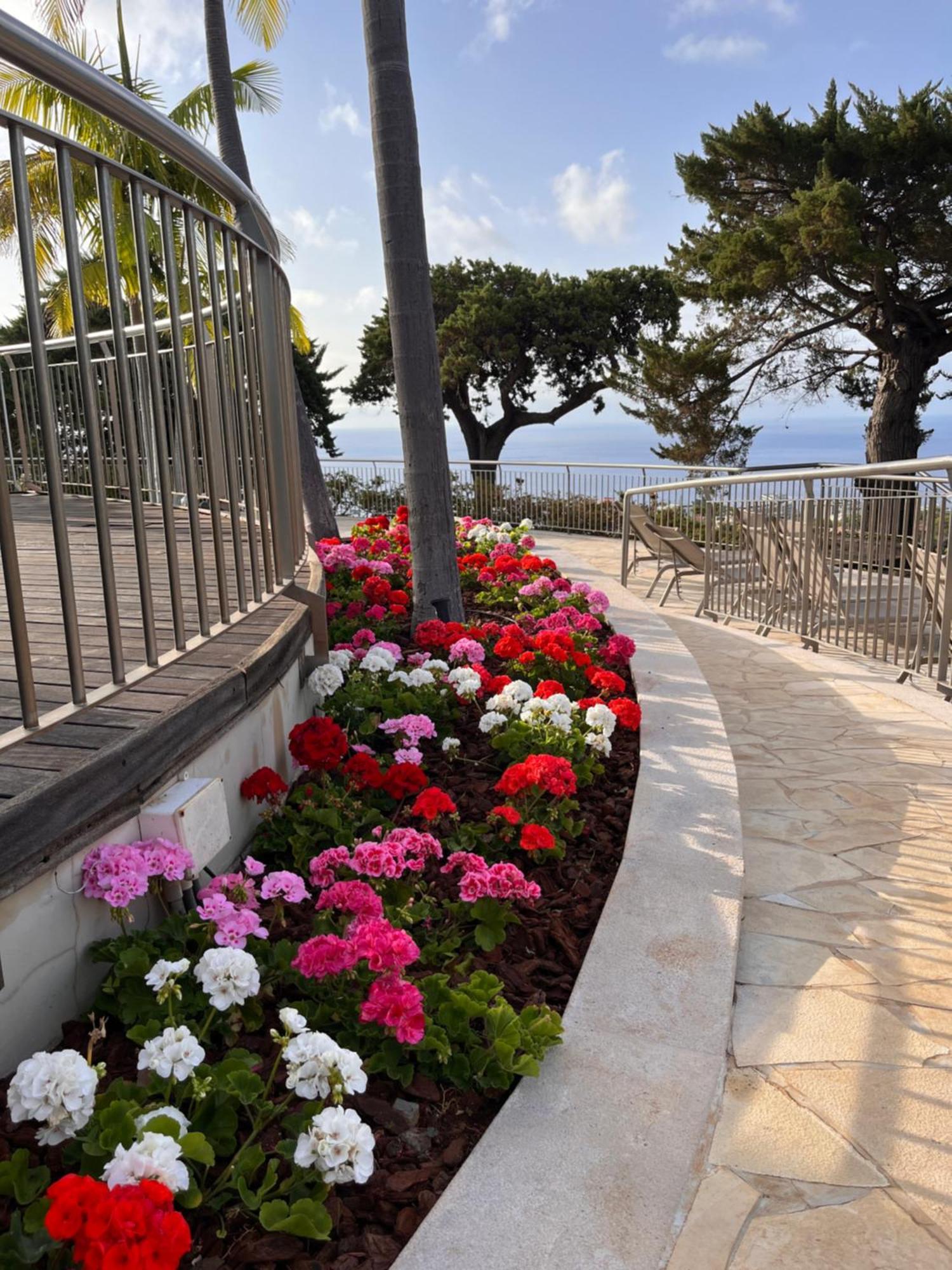 Quinta Funchal Gardens - Adults Only Hotell Eksteriør bilde